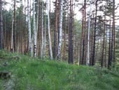 Чакърови поляни - Chakarovi meadows